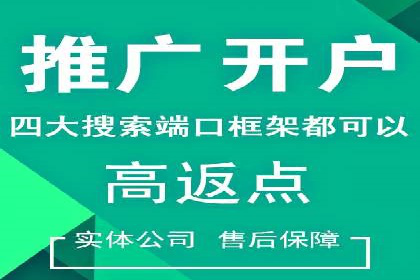 某品牌SEM推广代运营的实践与效果评估
